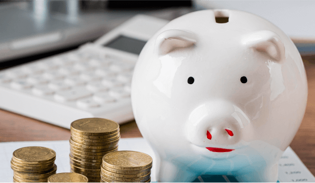 cerdo de ceramica para ahorros